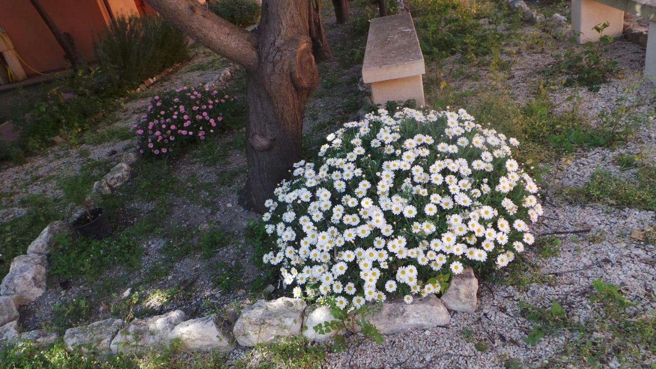 Oasi Ottocento Bed & Breakfast Quartu SantʼElena Eksteriør bilde